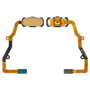 Flat Cable compatible with Samsung G935F Galaxy S7 EDGE, G935FD Galaxy EDGE Duos, (menu button, golden, with components) - GsmServer